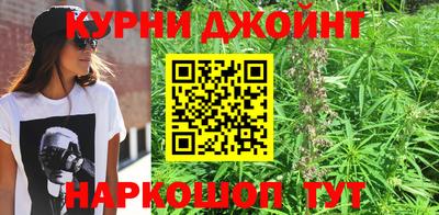 Альфа ПВП Обь