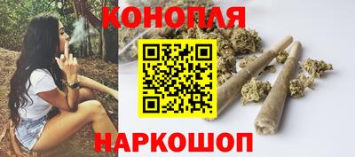 Альфа ПВП Обь