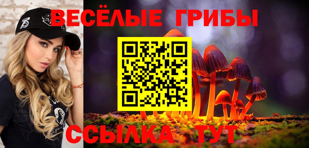 Новокуйбышевск  закладки  Вход с VPN  Галлюциногенные грибы GOLDEN TEACHER  Галлюциногенные грибы ЛСД 